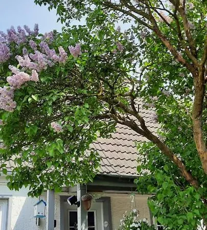 Apartmán Cosy Scharbeutz