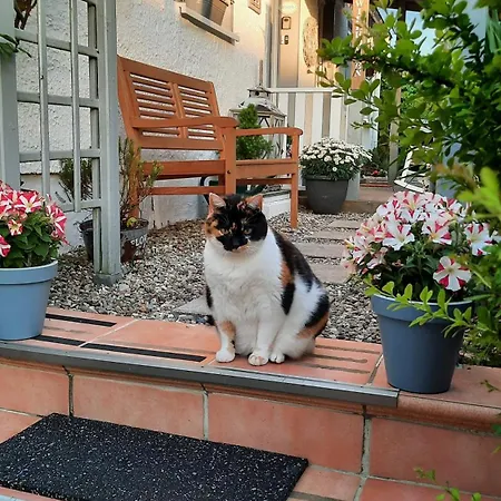 Appartement Cosy Scharbeutz